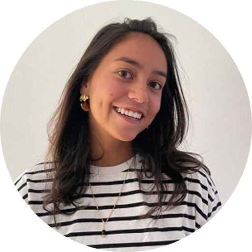 romy alferink, project management officer, tidalis, pmo, business development